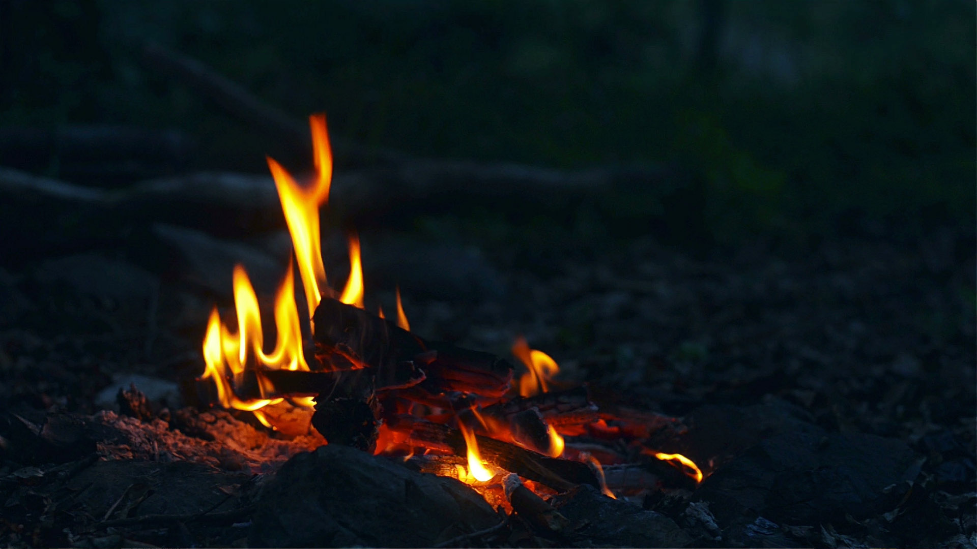 Maple Grove Campground - Camping in Vermont, Like no Other